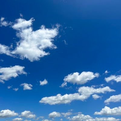 kensato16's profile picture. モンテディオ山形→ジェフユナイテッド市原・千葉→京都サンガFC→レノファ山口