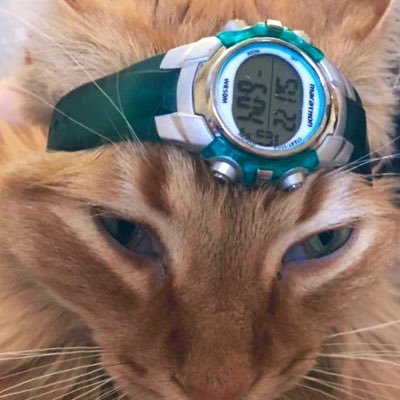 churro_grl's profile picture. 26📍where am i