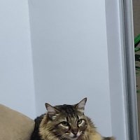 H (@hataaaw) 's Twitter Profile