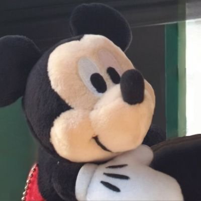 やしこさんのプロフィール画像