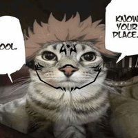 Gunner 0 (@gunner0yt) 's Twitter Profile