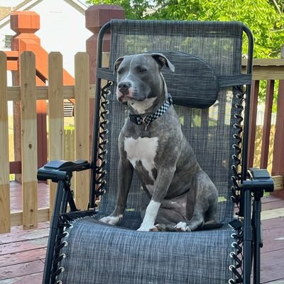 russ_gruelle's profile picture. 'Yeah, well, you know. That's just, like, your opinion, man.'--Mark Twain

#NoKings  #LetsMoveForward  He/him/his