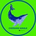 Cardano Whale 🐋 (@BILOO_IQ) Twitter profile photo