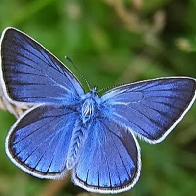 JenilaC51049's profile picture. 