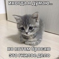 Дарья М (@birute93) 's Twitter Profile