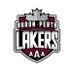 Huron-Perth Lakers (@hplakers) Twitter profile photo