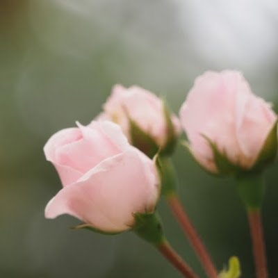 EtosXcJbMl23252's profile picture. 