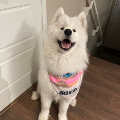 EvanInAlberta's profile picture. Love Alberta! | |Florida Panthers fan 🐆 U of A PhD Poli Sci |Stata, R, PyStata|Current non-partisan.