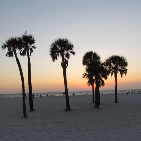 FLFullTimeJobs's profile picture. Search best new Florida career jobs with powerful search facility.