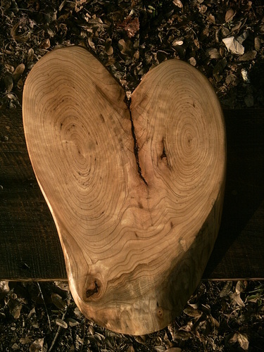 One of a kind rustic log art furniture and so much more. I use only sustainable methods in harvesting wood that has come down naturally in the woods.