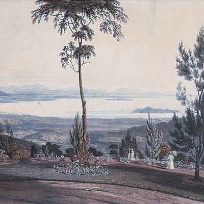 AliffA421's profile picture. im the reason waldo is hiding