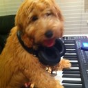 Elroy - @ElroyMack - Twitter