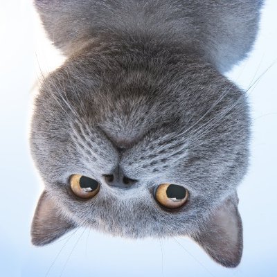 tentei26's profile picture. Newbie trader