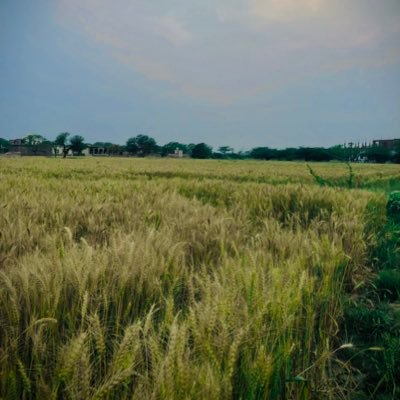 SRKMEWATI574062's profile picture. 