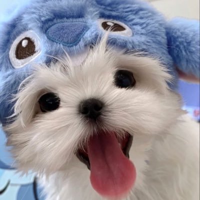 siro_hyun Profile Picture