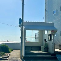 アメル🚶♀️ (@ameru_atsuko) 's Twitter Profile Photo アメル🚶♀️ (@ameru_atsuko) 's Twitter Profile Photo