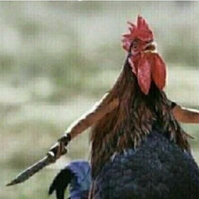This is a multinational communial account. Rea buwa, Siya khuluma, Ons Praat, We speak.. We're global citizens here, speaking on many different topics. Easy 😉