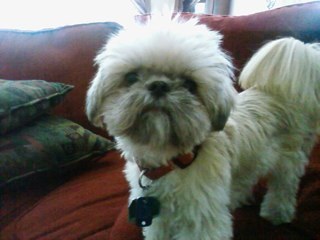 Lamtew1's profile picture. 