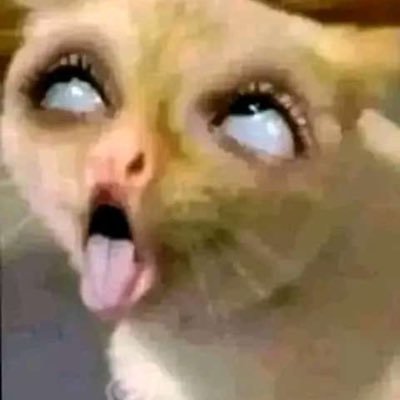 p0rnaddickt's profile picture. 