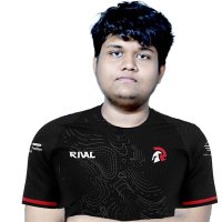 Pikas (@pikasbrawl) 's Twitter Profile Photo Pikas (@pikasbrawl) 's Twitter Profile Photo