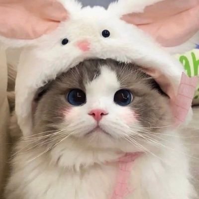 FZmdfmK3Re74406's profile picture. 나 아기 호랑이 | 05n | 2n | 디엠보다 멘션선호 |https://t.co/nKtmJjRffs