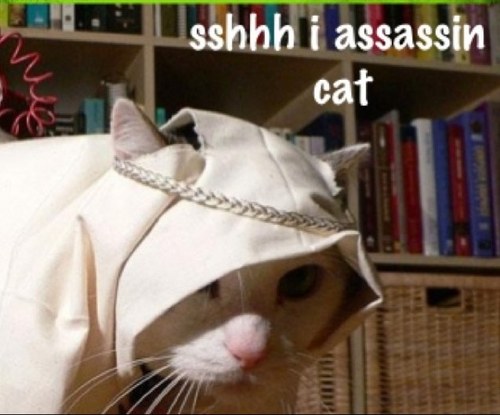 Imaninjakitty's profile picture. 