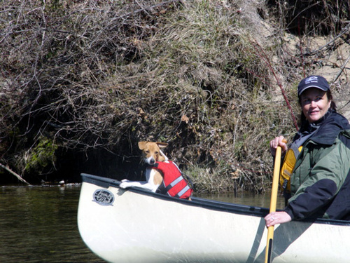 DebiWhitmire's profile picture. 