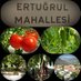 Güney Ertuğrul Mahallesi (@guneyertugrul20) Twitter profile photo Güney Ertuğrul Mahallesi (@guneyertugrul20) Twitter profile photo
