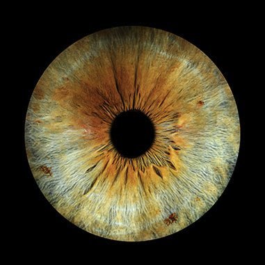 wingedventures1's profile picture. Actress, Voice Over, Model, Content Creator, Photographer & Drone Pilot