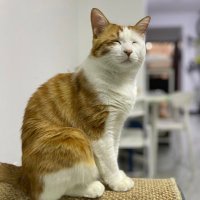 murphyyue (@murphy73099636) 's Twitter Profile