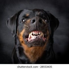 denmiz1567's profile picture. 