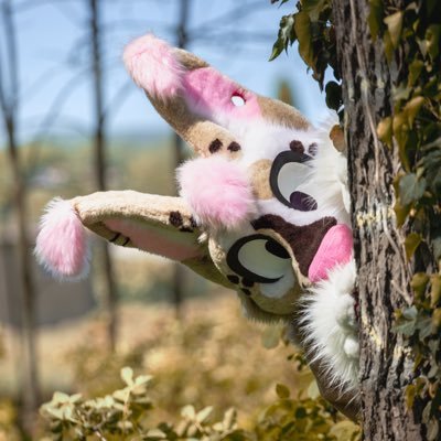 Fennec | lvl 22 | 🇨🇿 | vroom vroom for life | love to meet new people and floofs (kinda shy tho)