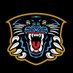 The Nottingham Panthers (@PanthersIHC) Twitter profile photo