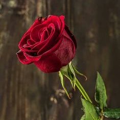I closed my social network 3 years ago and now I am getting over my last relationship. Now I want to make friends.