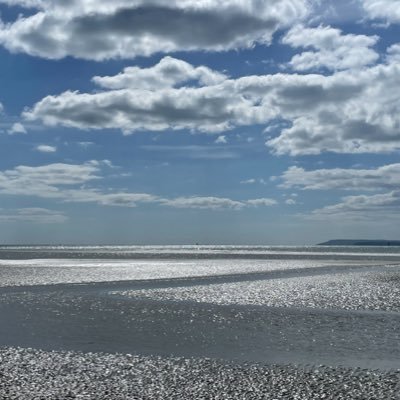 crodetsai's profile picture. 