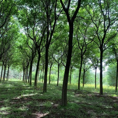 yueyue5204's profile picture. 