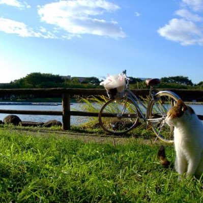 Sg8Q1's profile picture. 