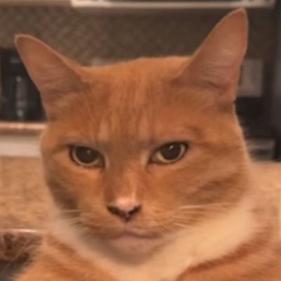 haiori_exp's profile picture. SOUND DESIGN/exp—0q0001