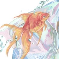 日曜日 (@arhn0o) 's Twitter Profile Photo