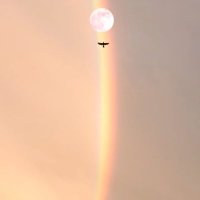 Kağıttan Kap (@kagittankap) 's Twitter Profile Photo