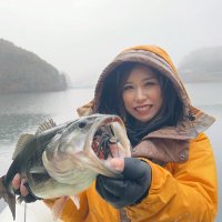 バシ子 (@basilisk5341) 's Twitter Profile