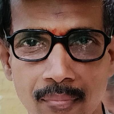 Astrologer, auditor, writer, artist, poojari