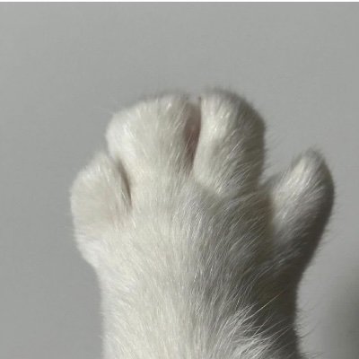 Husu5516's profile picture. 