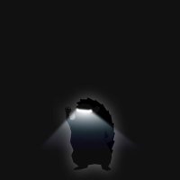 Lang (@tesla___fan) 's Twitter Profile