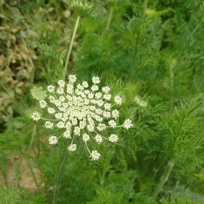 mamaco99's profile picture. 