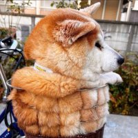 とし@FIRE (@6nmixjwlxy17105) 's Twitter Profile