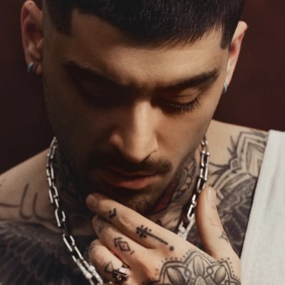 No I DO NOT think Harry & Zayn are in a secret relationship✌🏼@zarryflorals on Tiktok & IG