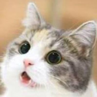 ☆tatumi☆ (@takayamatatumi) / Posts / X