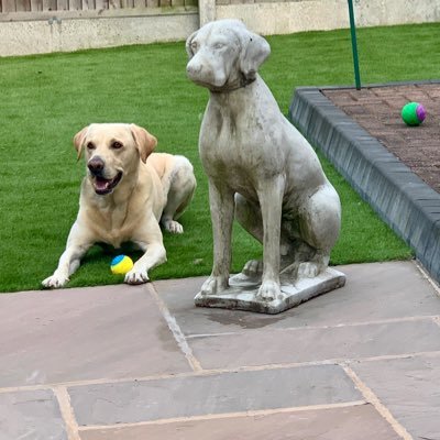 PareKellie's profile picture. mum, wife and friend.