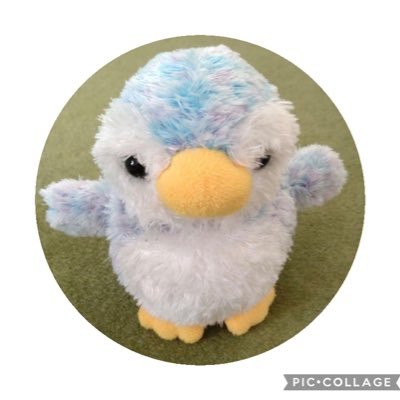 jHEvf4nLDl75's profile picture. 坂道応援アカウントです(主におひさま) 推し 日向坂 小坂🦕、正源司🍫、りーおの選抜を渇望するりおろっかー🫶、河田🐼、／乃木坂 る〜な〜ready?、かっきー、AYA／櫻坂 純葉 いなひなちゃん／ オードリー世代の涙もろいおじ／今年の目標は所作すべてを美しく 尾張の国の住人